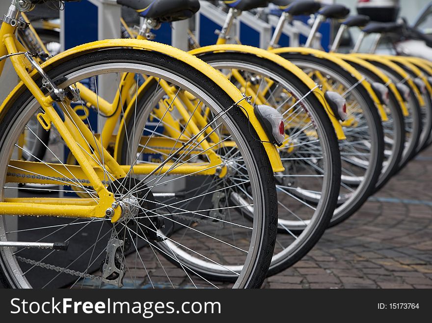 Various yellow bikes in a row for rent. Various yellow bikes in a row for rent