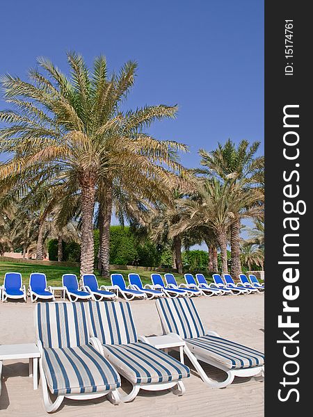 A row of chaise lounges await on a sandy beach in the Middle East. A row of chaise lounges await on a sandy beach in the Middle East
