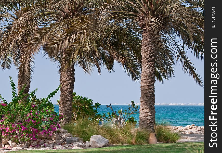 Bouganvillas and palm trees frame a beach scene in the middle east. Bouganvillas and palm trees frame a beach scene in the middle east.