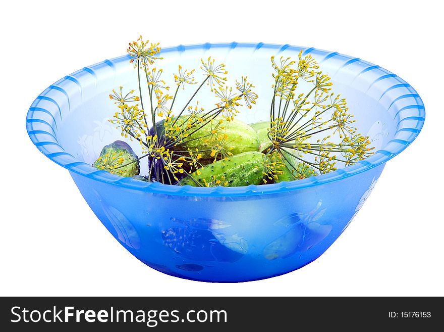 Little green cucumbers and  dill in the plastic bowl isolated on white