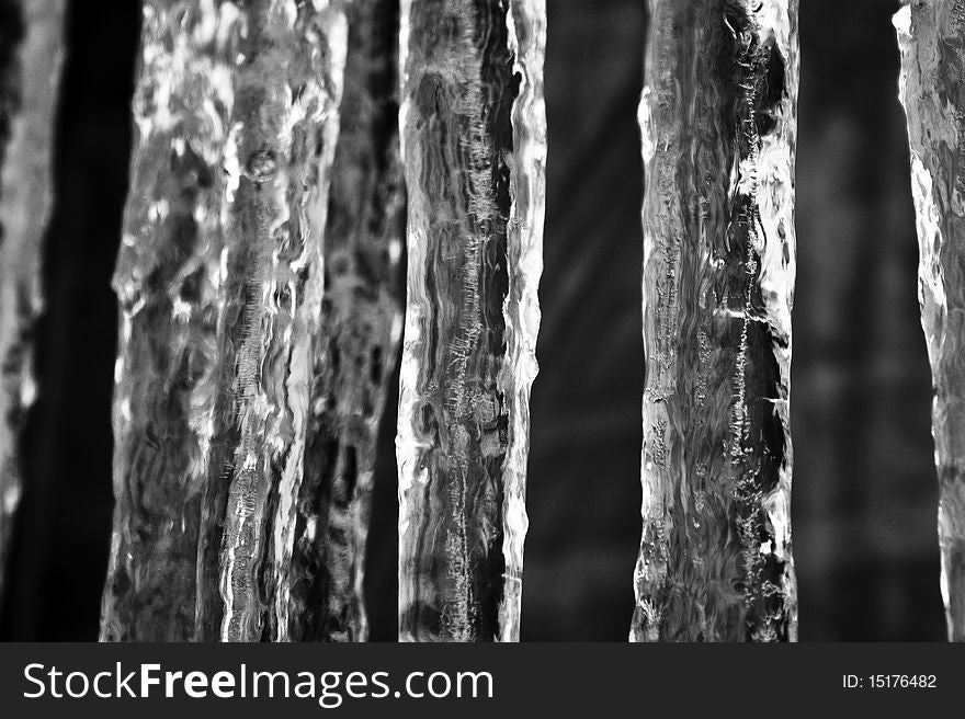 Icicles in black and white