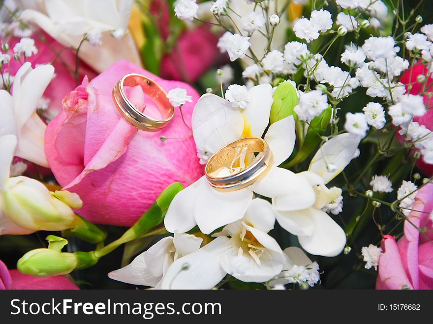 Two rings on some red and white roses. Two rings on some red and white roses.