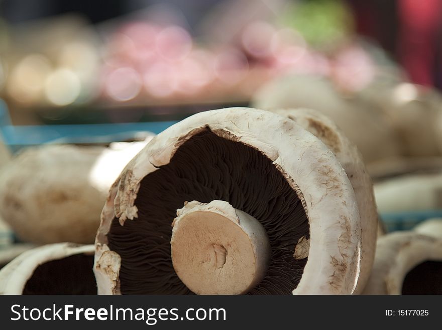 A Portobello mushroom (Agaricus Bisporus) at a farmers' market. A Portobello mushroom (Agaricus Bisporus) at a farmers' market