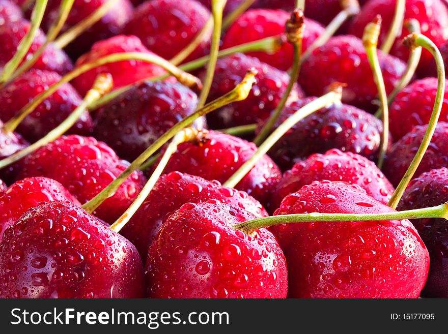 Close up shot on some fresh cherries.