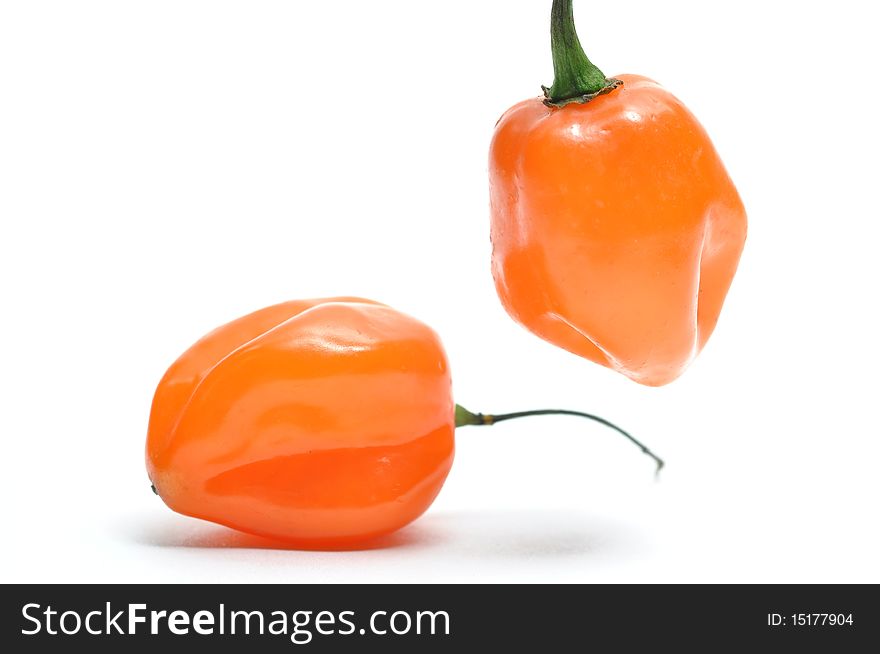 Isolated fresh hot pepper