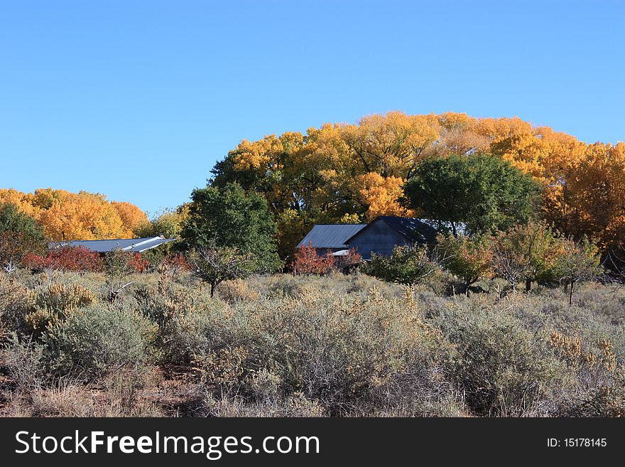 In galisteo, new mexico, bright sunlight reflects the brilliant colors of autumn;. In galisteo, new mexico, bright sunlight reflects the brilliant colors of autumn;