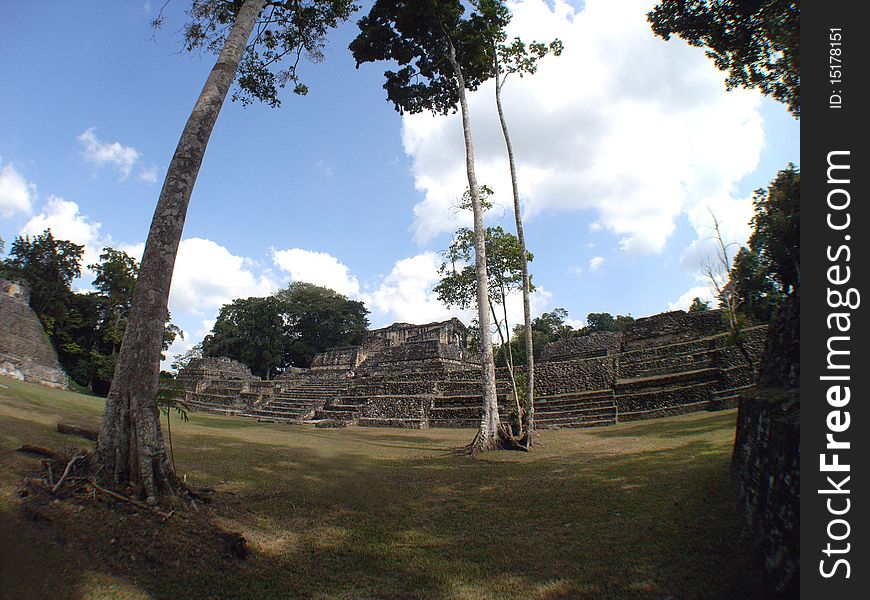 View of the ancient mayan residential complex across a courtyard at the archeological site of caracol located in the cayo district of belize, central america;. View of the ancient mayan residential complex across a courtyard at the archeological site of caracol located in the cayo district of belize, central america;