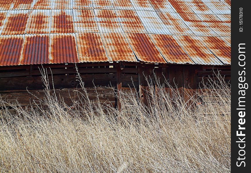 Old barn in California with over grown glass. Old barn in California with over grown glass