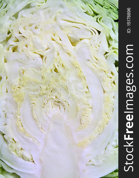 Cabbage background