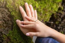 The Hands Of The Bridegroom With The Wedding Rings, On The Tree Whilethis Moss. Without A Face. Close-up, Background Royalty Free Stock Image