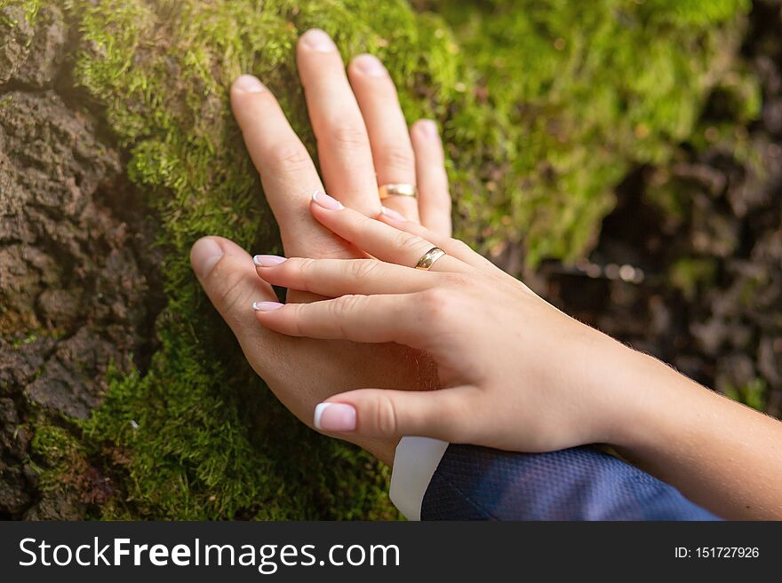 The Hands Of The Bridegroom With The Wedding Rings, On The Tree Whilethis Moss. Without A Face. Close-up, Background