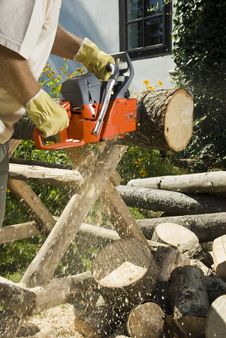 The Chainsaw Royalty Free Stock Images The Chainsaw Royalty Free Stock Images