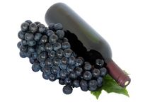 Wine And Grapes Royalty Free Stock Images