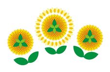 Decorative Sunflowers Royalty Free Stock Image Decorative Sunflowers Royalty Free Stock Image