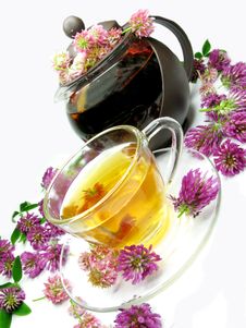 Herbal Tea With Clover Flowers Stock Images Herbal Tea With Clover Flowers Stock Images