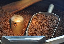 Coffee Beans Freshly Roasted Royalty Free Stock Image Coffee Beans Freshly Roasted Royalty Free Stock Image