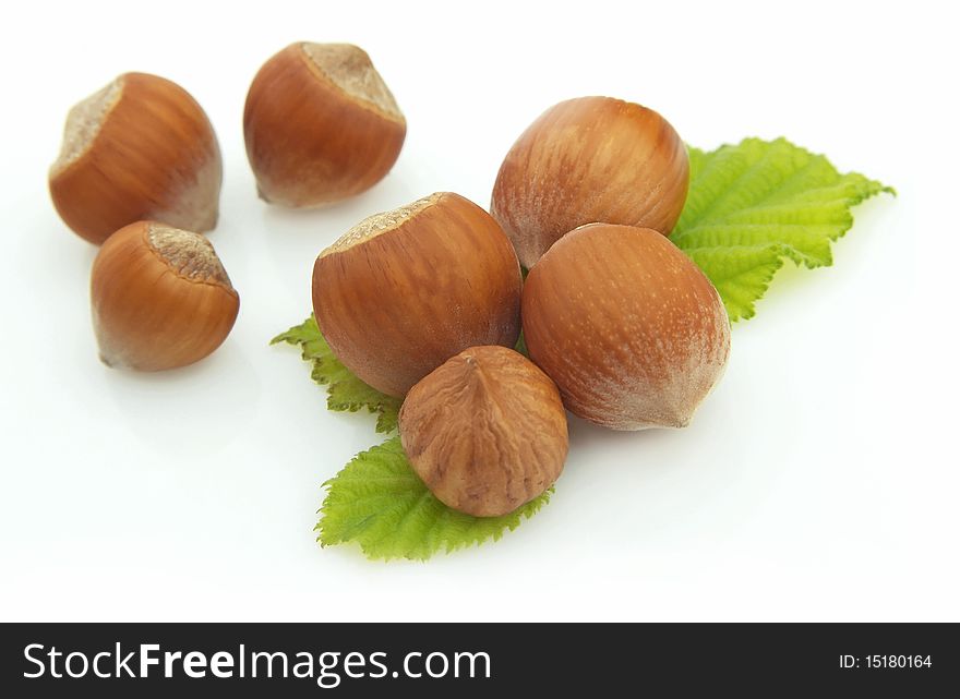 Group of wood nuts with leaves on white background