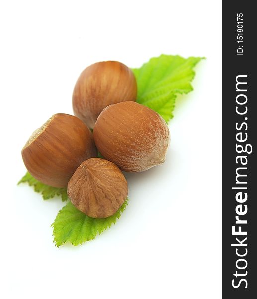 Four ripe wood nuts with leaves on white background