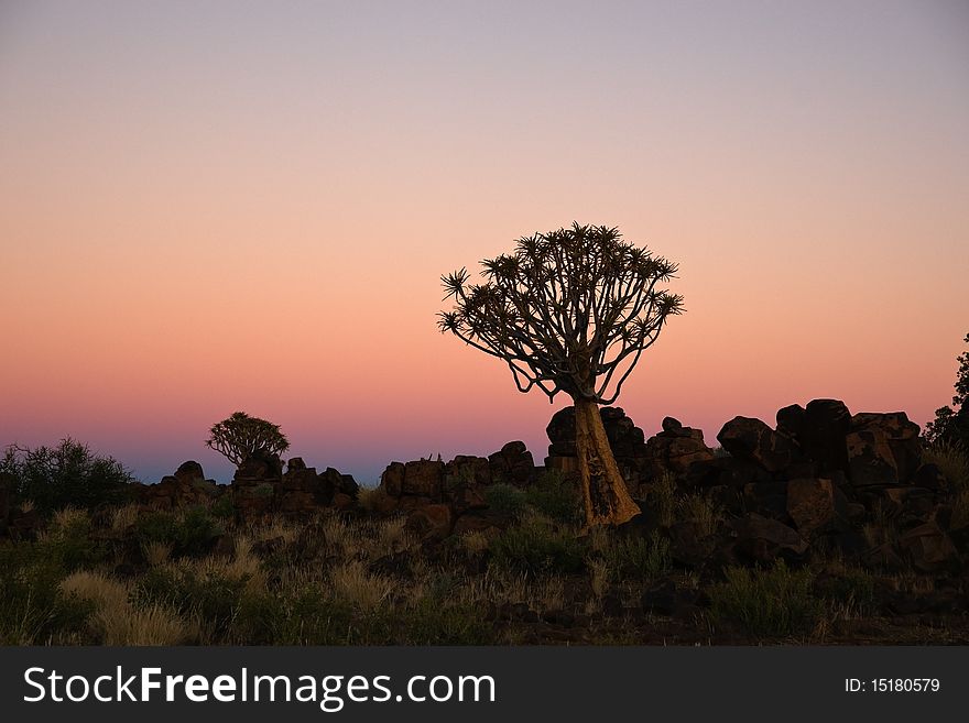 African Sunset