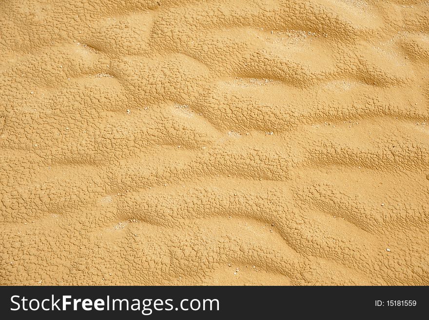 The desert dry sand background texture. The desert dry sand background texture.