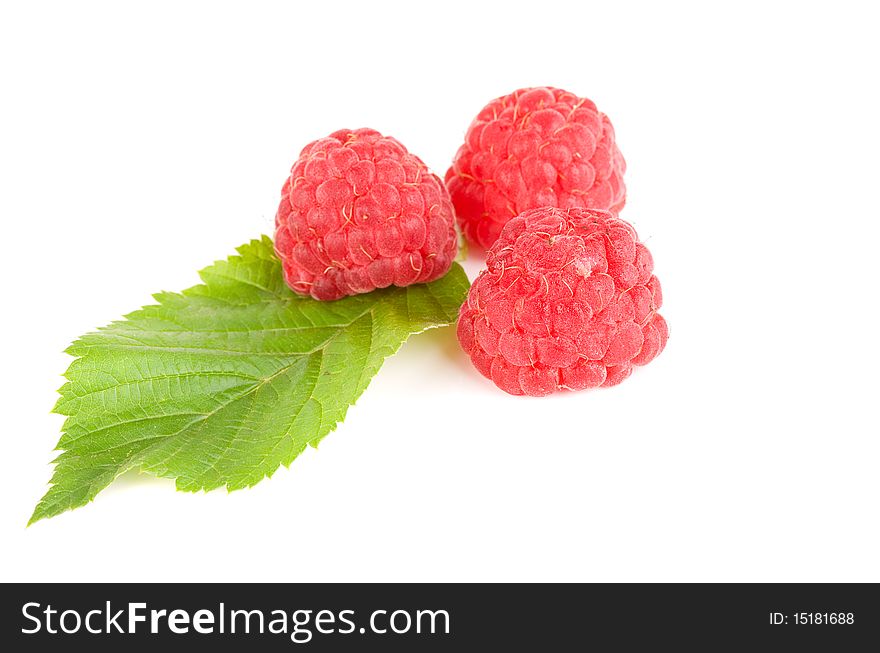 Raspberries isolated on the white background