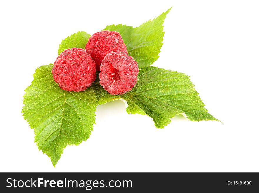 Raspberries isolated on the white background