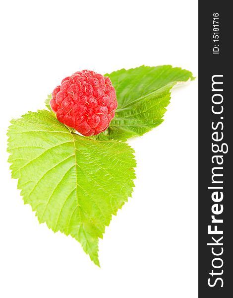 Raspberry isolated on the white background