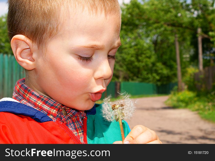 The child holds the seeds of a dandelion