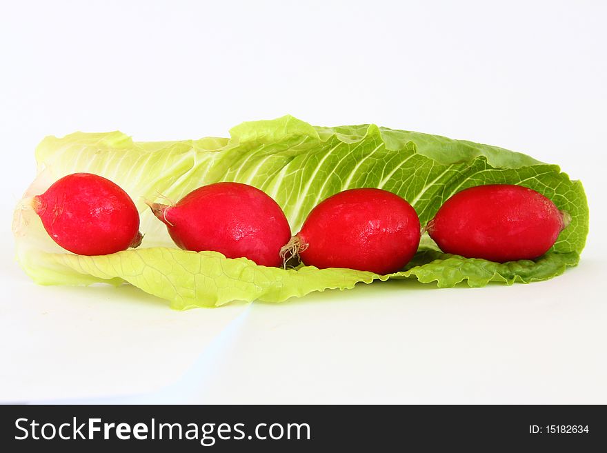 Healthy vegetables radish and lettuce isolated white background. Healthy vegetables radish and lettuce isolated white background