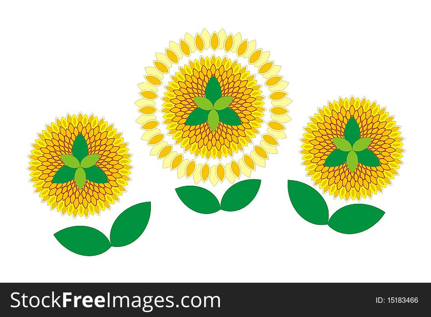 Decorative sunflowers, isolated on white. Vector (EPS 8).