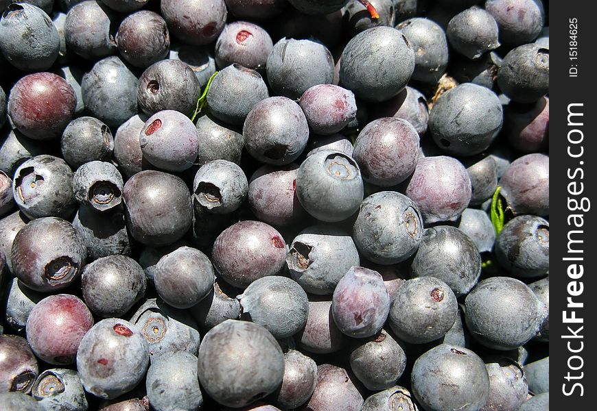 Close-up fresh blueberrie background