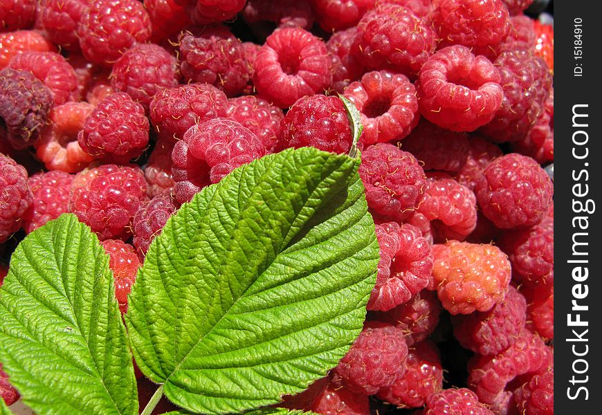 Red raspberries as background with leaf