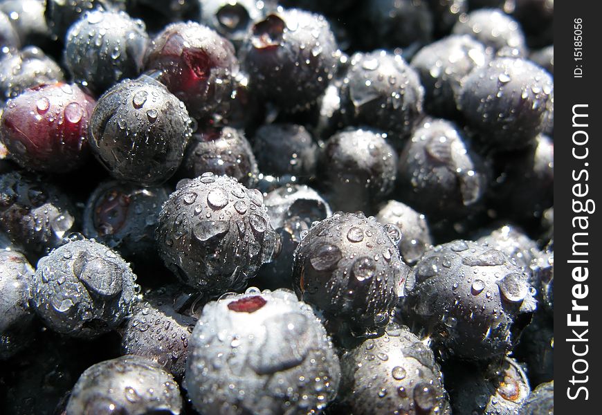 Close-up fresh blueberrie with droplets of water