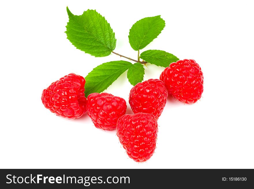 Juicy red raspberries and leaf on white background