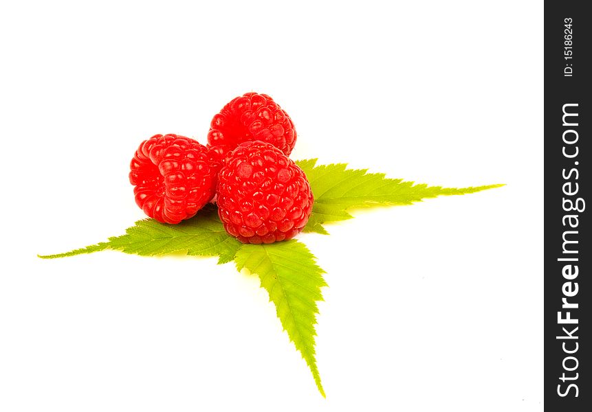 Three raspberries on three leaves on white background. Three raspberries on three leaves on white background