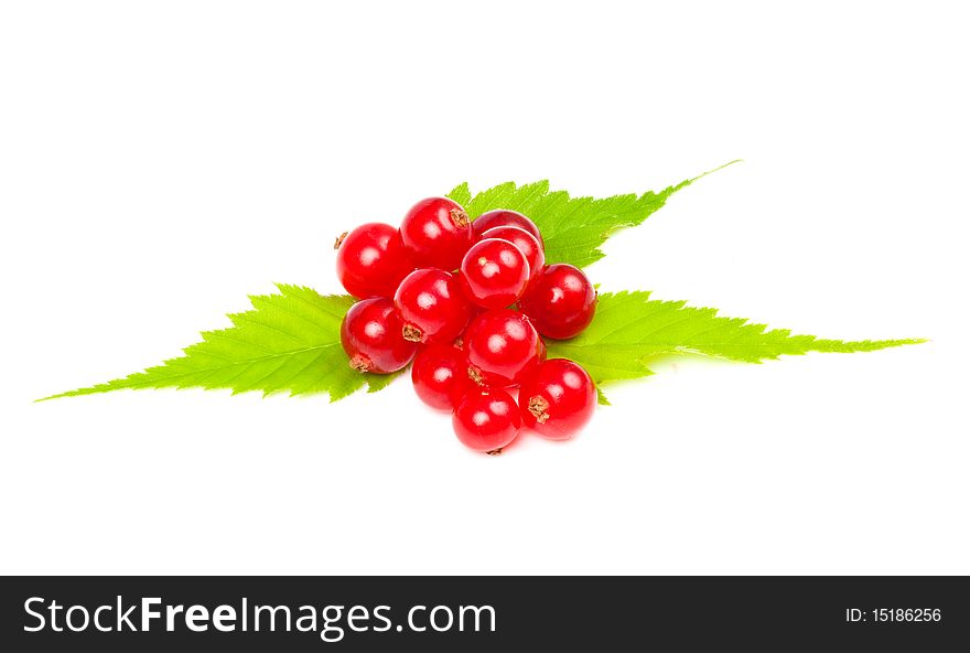 Pile of redcurrants on three leaves on white background