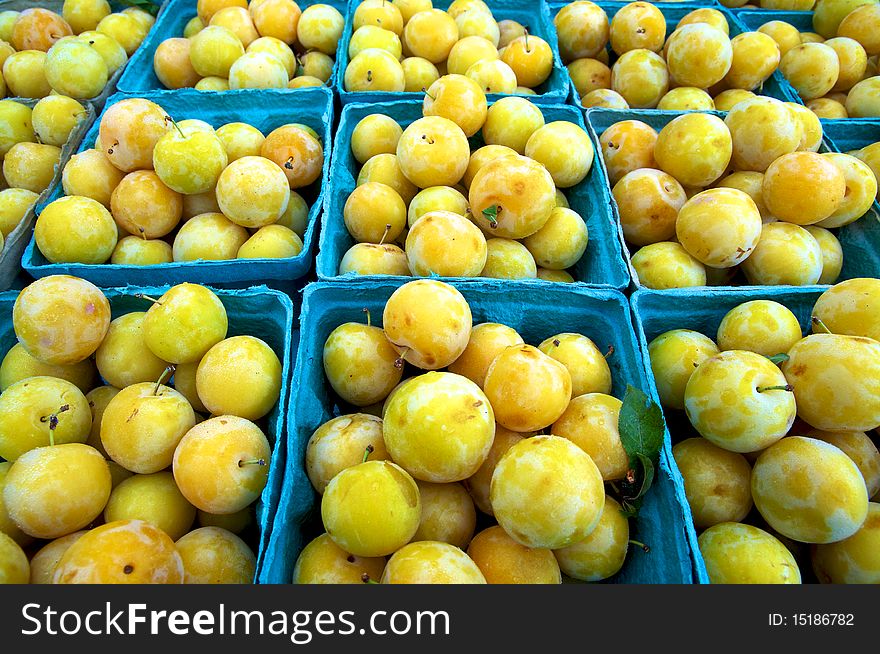 Horizontal photo of large group of yellow plums in blue boxes at farm market