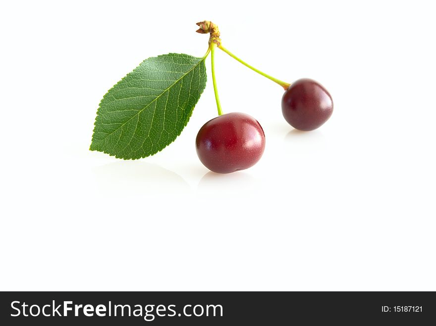 Two ripe cherries, with slip, close-up, on white background, copy space. Two ripe cherries, with slip, close-up, on white background, copy space.