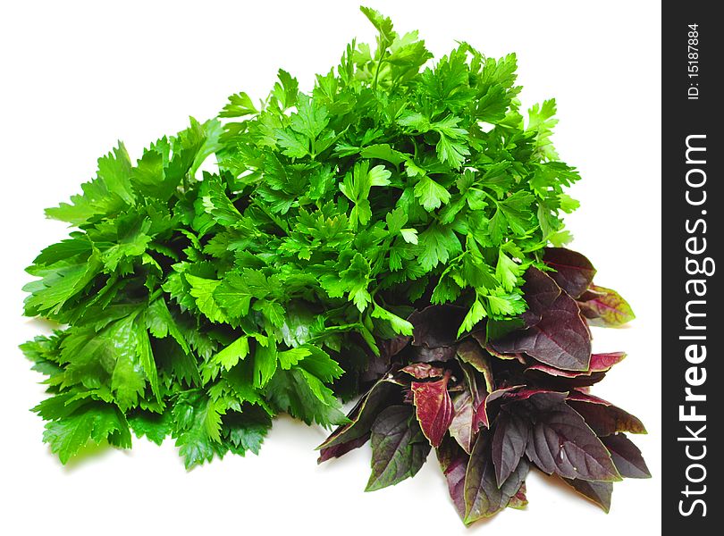 Collection of fresh herbs necessary on the each kitchen. Collection of fresh herbs necessary on the each kitchen