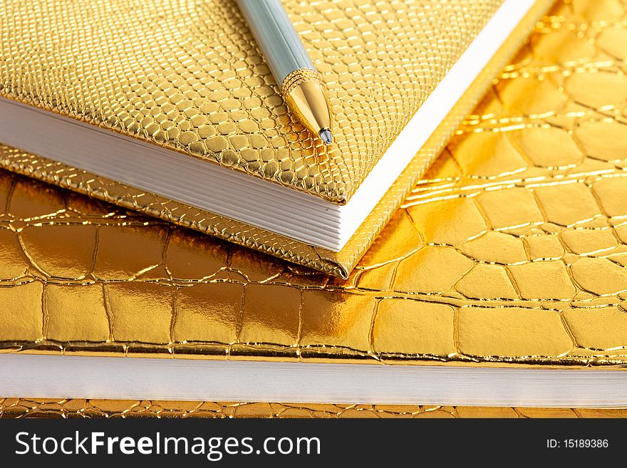 Golden notebooks with silver pen