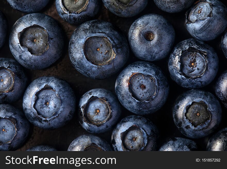 A fantastic blueberry background. A macro picture of dark and saturated blueberries. Refreshing antioxidant berries. Juicy summer berries. A fantastic blueberry background. A macro picture of dark and saturated blueberries. Refreshing antioxidant berries. Juicy summer berries