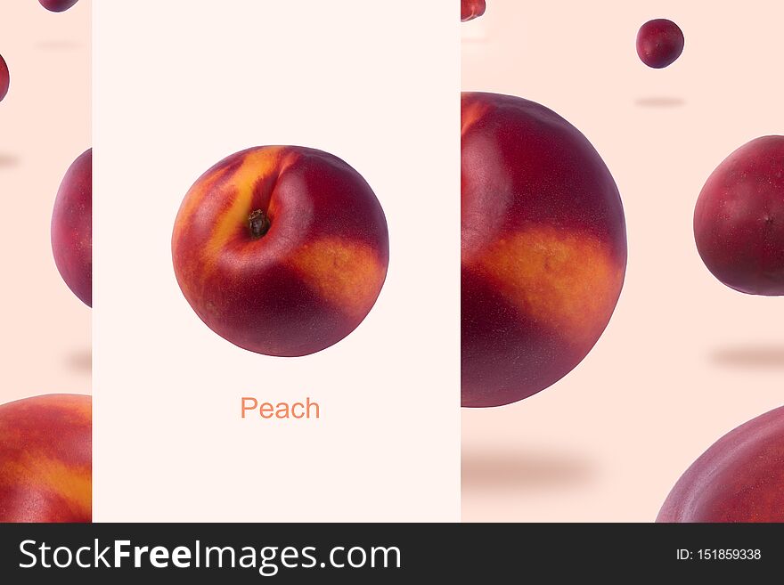 Creative layout made of levitating nectarine or peach over pink background. Creative layout made of levitating nectarine or peach over pink background