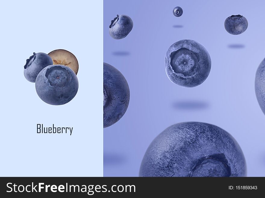 Levitating blueberries layout