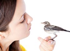 Nestling Of Bird (wagtail) On Hand Royalty Free Stock Photography