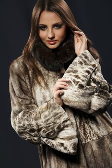 Woman In Fur Coat Stock Photography