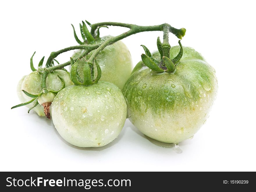 Young tomato on white background