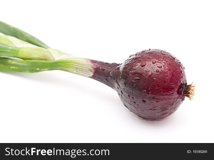 Red young onion on white