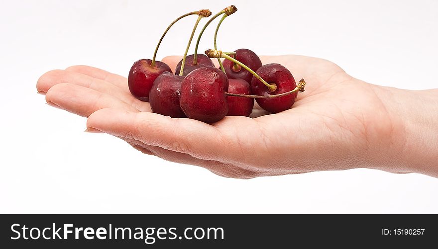 Hand holding red cherry on white