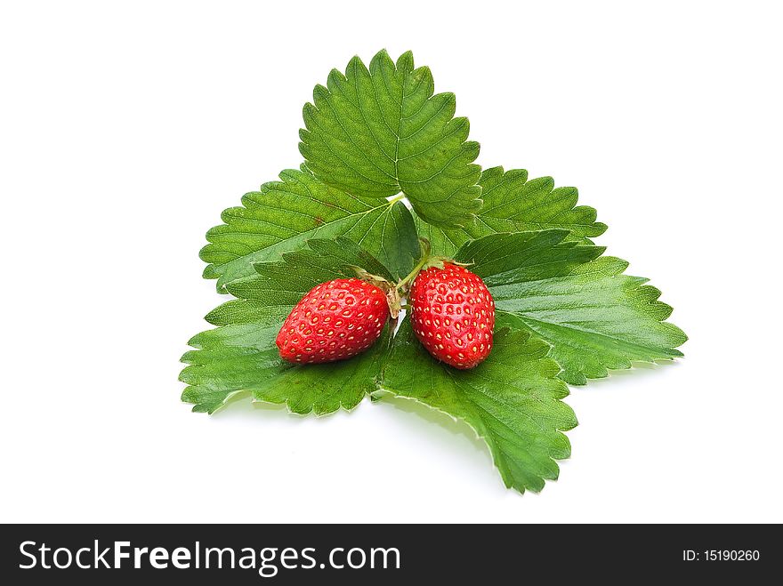 Fresh Strawberry Fruits