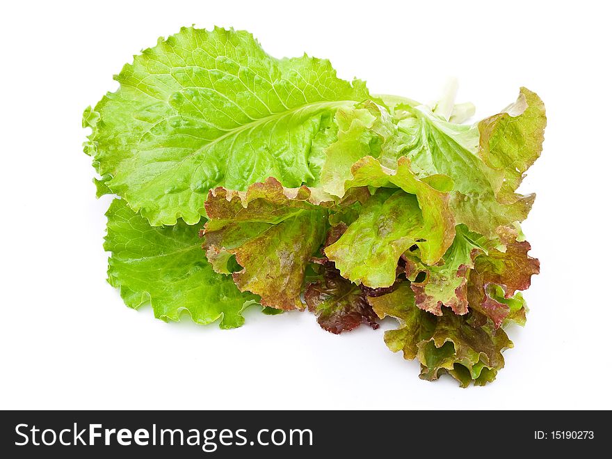 Fresh lettuce salad on white